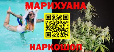 стаф Сланцы