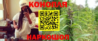 гидра Славянск-на-Кубани