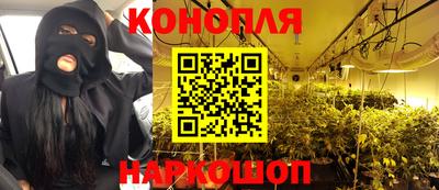 стаф Сланцы