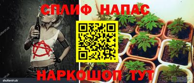бошки Славгород