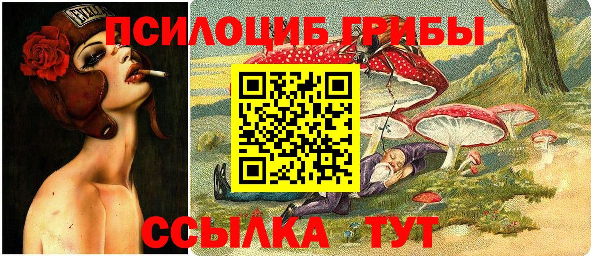 Псилоцибиновые грибы Cubensis Североуральск